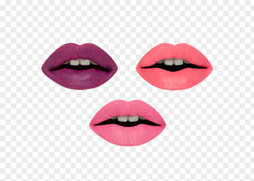Lipstick Cruelty-free Cosmetics Makeup Brush Eye Shadow PNG
