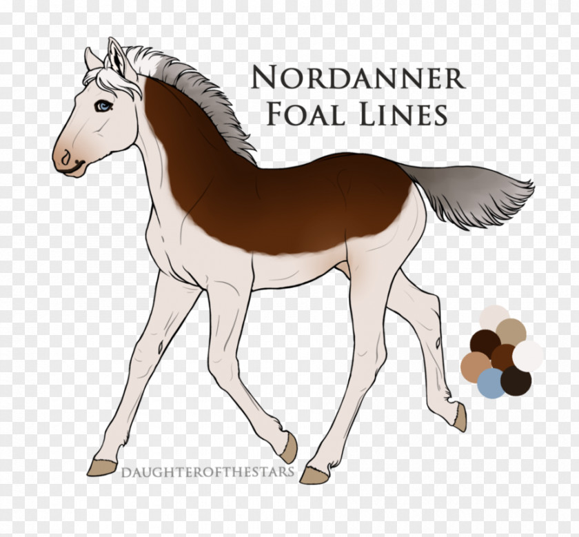 Mustang Pony Foal Mare Stallion Colt PNG