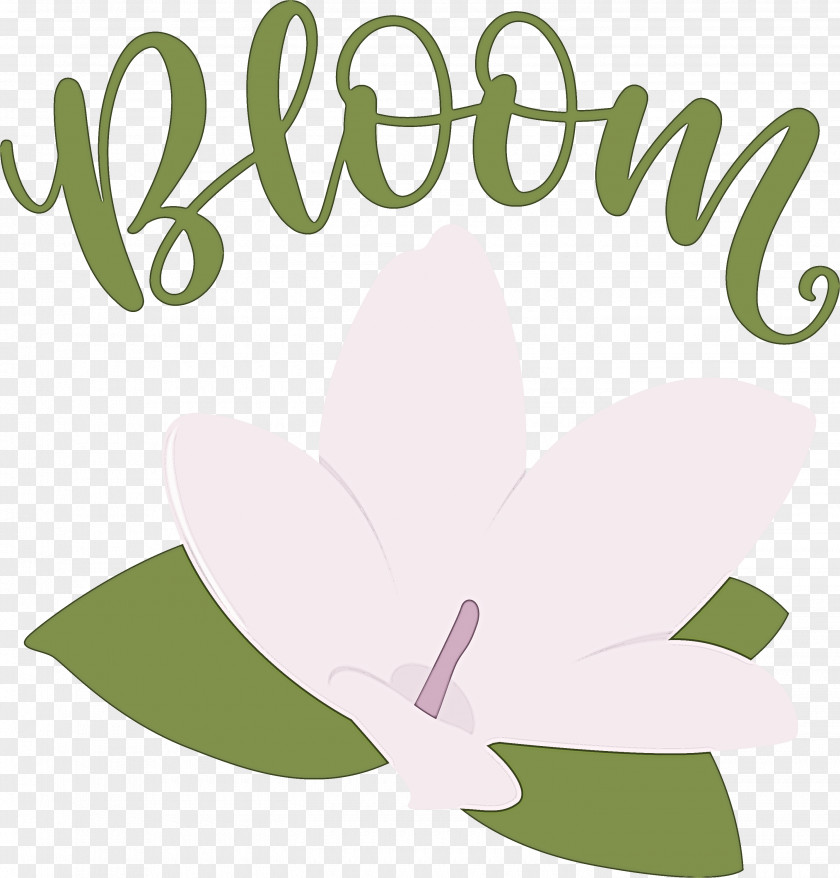 Bloom Spring Flower PNG