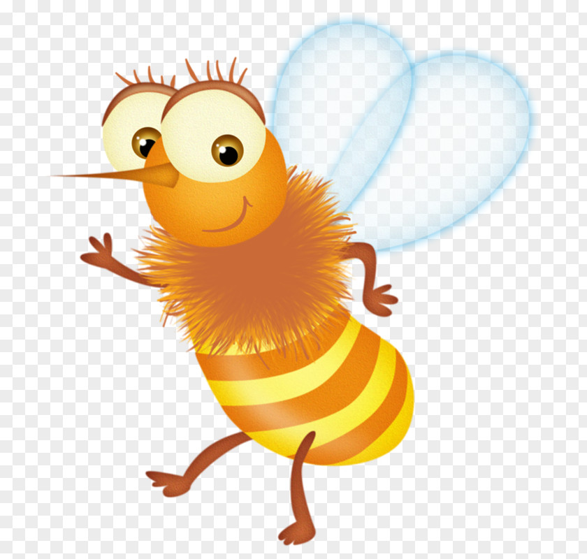 Cartoon Bee Insect Apis Florea Illustration PNG