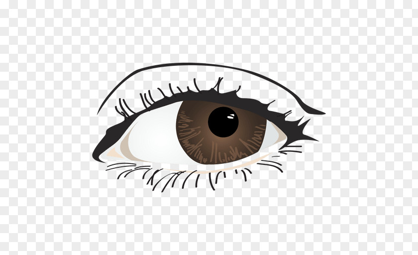 Eye Color Clip Art PNG