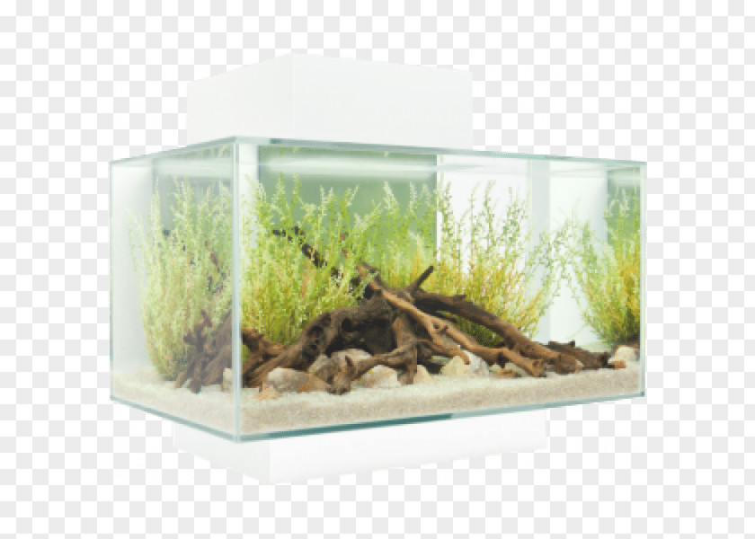 Light Fluval Edge Light-emitting Diode Aquarium LED Lamp PNG