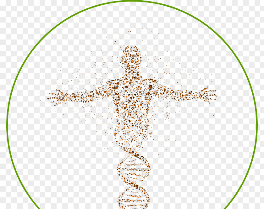 Science DNA Human Genome Cell Homo Sapiens PNG