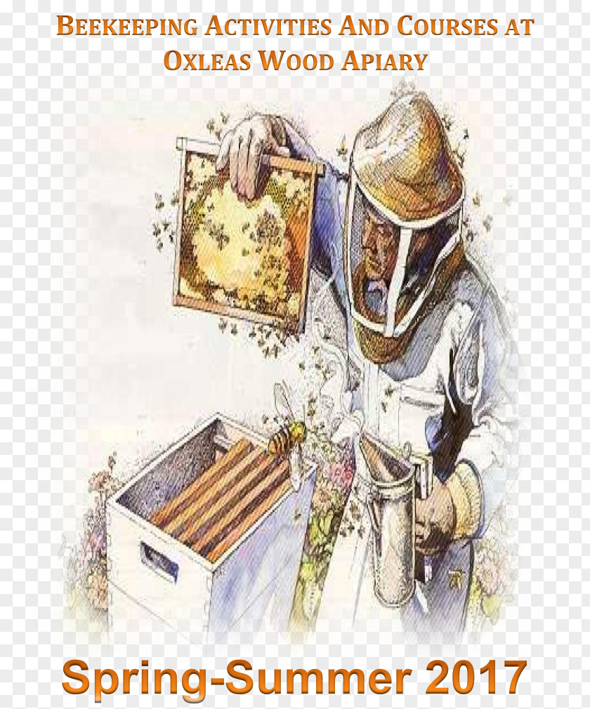 Bee Oxleas Wood Apiary Eltham Beekeeping PNG