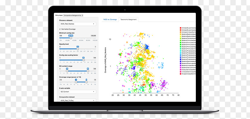 Business User Interface Design Experience PNG