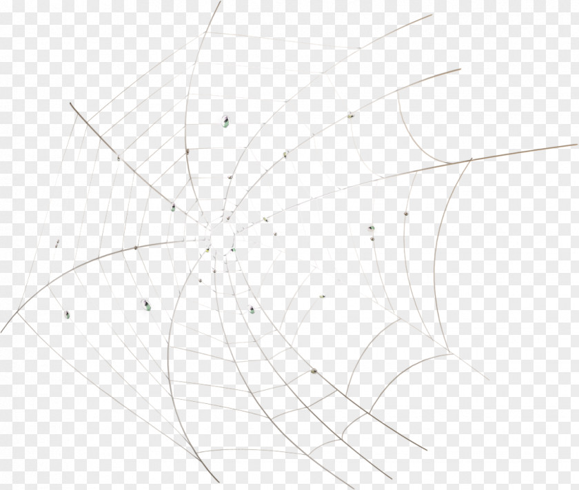 Circle Point White Sketch PNG