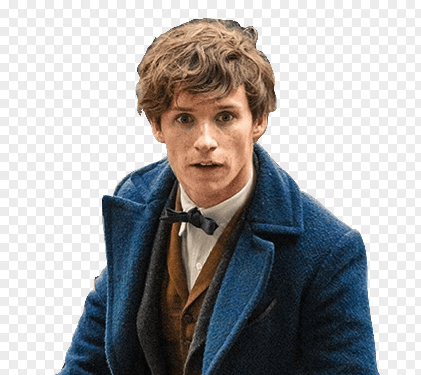Harry Potter Fantastic Beasts And Where To Find Them Newt Scamander David Yates Albus Dumbledore PNG