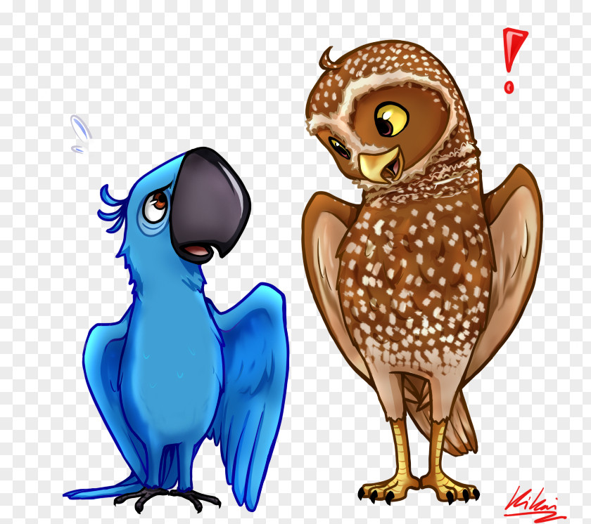 Owl Guardians Of Ga'Hoole Bird Nyra YouTube PNG
