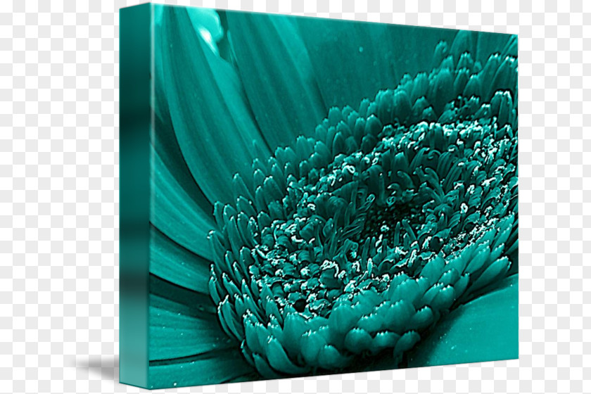 Teal Abstract Aqua Blue Turquoise Color PNG