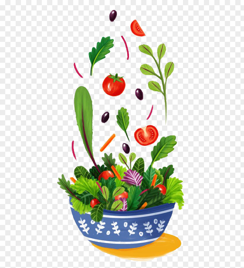 Vegetables Taco Salad Drawing Illustration PNG