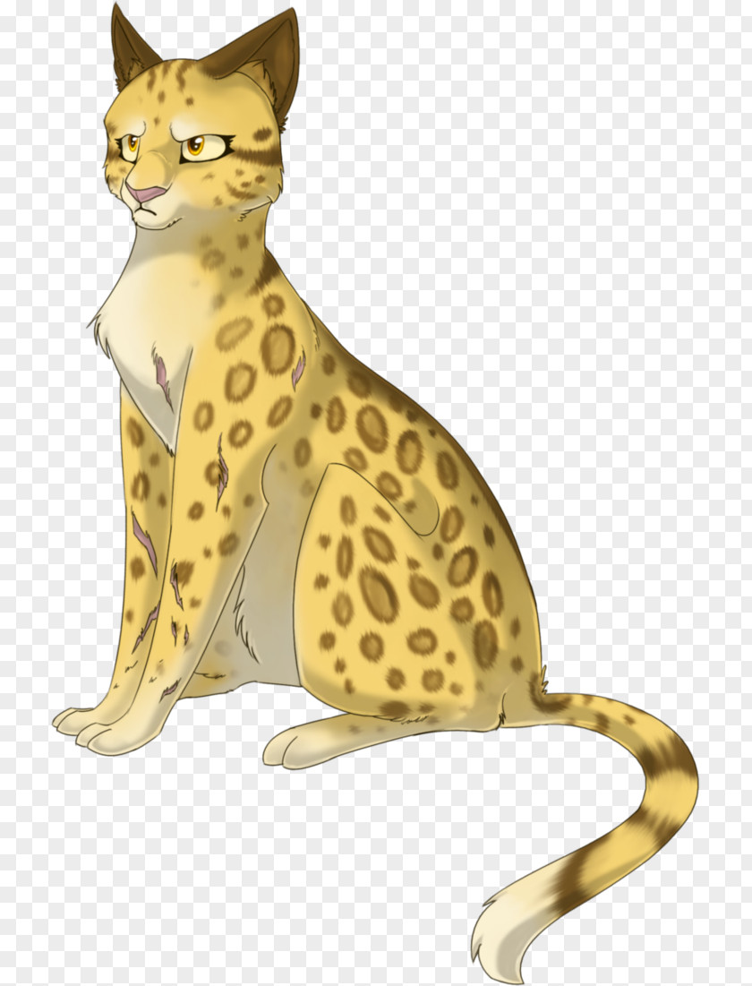 Warrior Cat Warriors Leopardstar Mistystar Tigerstar PNG