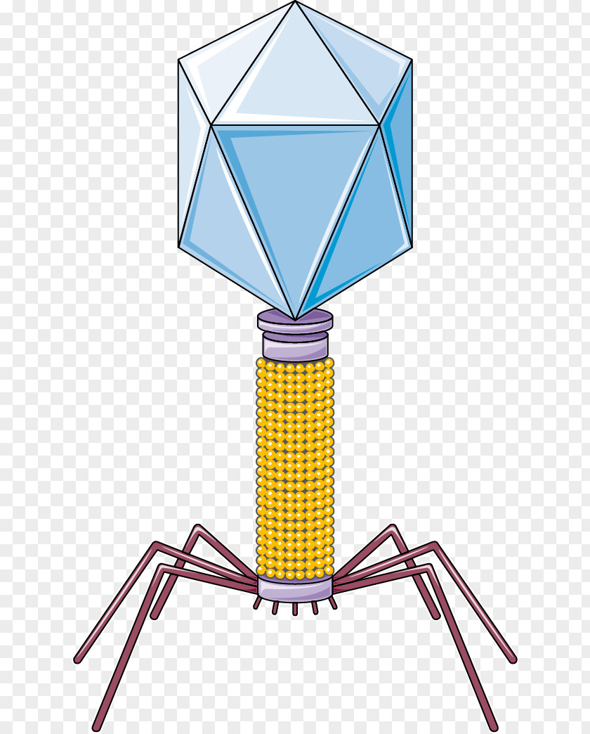 Bacteriophage Bacteria Servier Medical Virus PNG