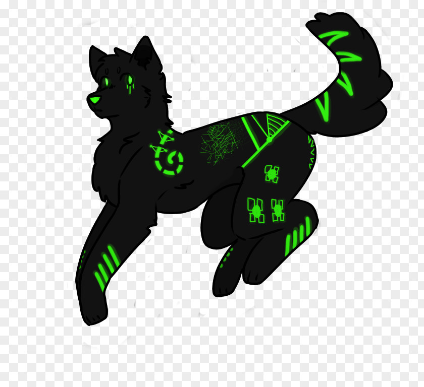 Cat Felidae PNG