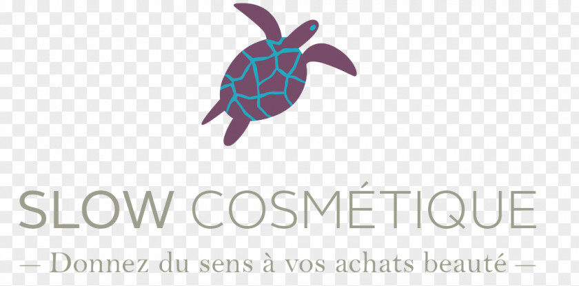 Cosmetique Slow Cosmétique, Le Guide Visuel: Pas à Vers Une Beauté Plus Naturelle Cosmetics Soap Laundry Detergent PNG