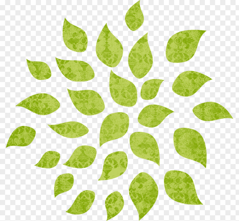 Foliage Save Papier Image Clip Art Tree PNG