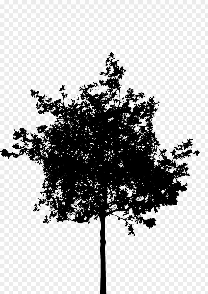 Silhouette Tree Clip Art PNG