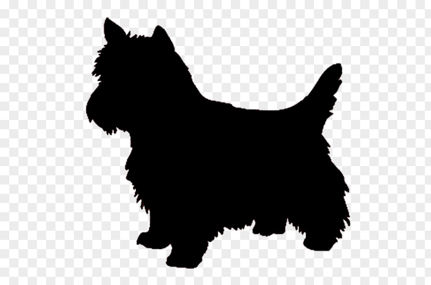 Silhouette West Highland White Terrier Yorkshire Airedale Cairn PNG