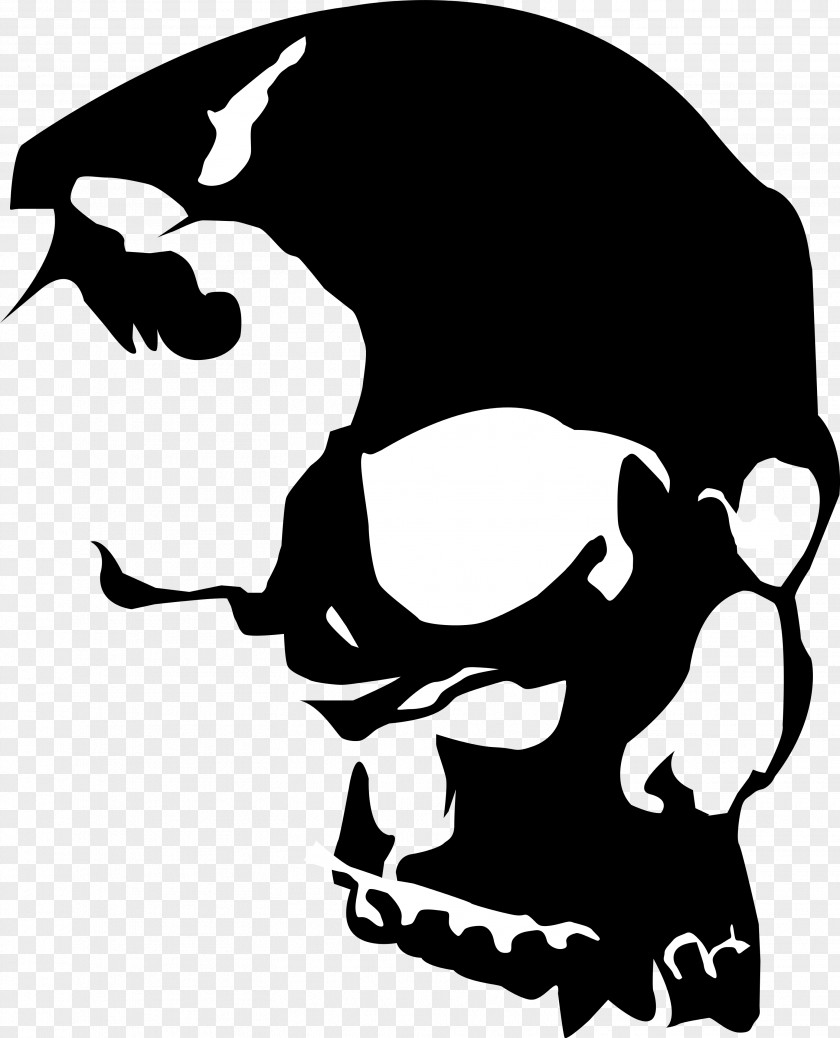 Transparent Skull Cliparts Royalty-free Clip Art PNG