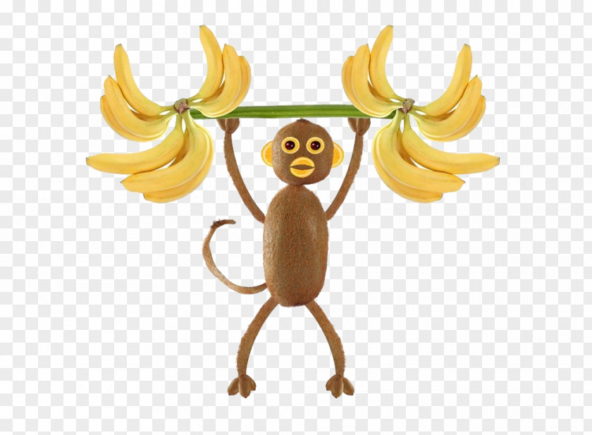 Weightlifting Monkeys Kiwifruit Stock Photography Monkey Pineapple PNG
