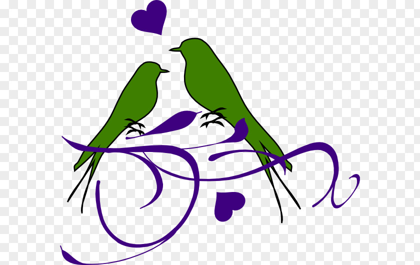 Bird Lovebird Clip Art PNG
