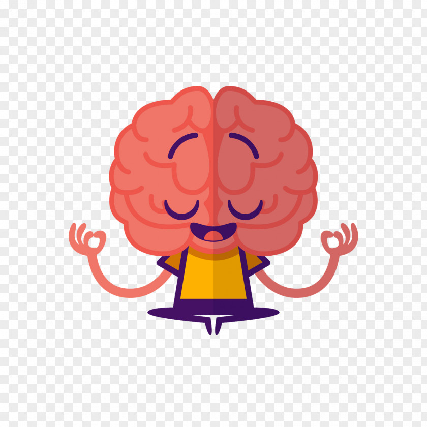 Brain Human Thought Cognitive Training PNG