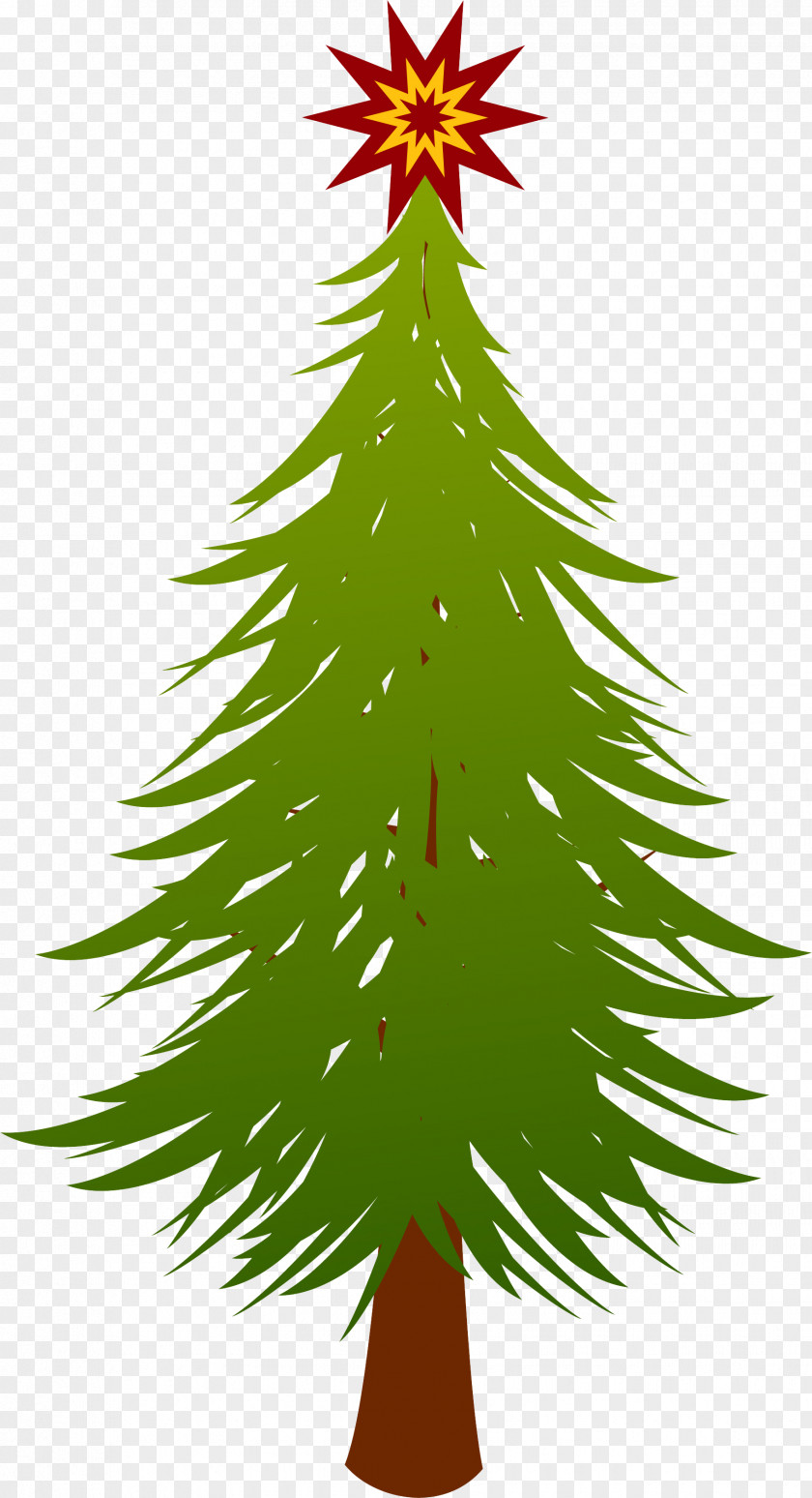 Christmas Tree Fir Spruce Evergreen PNG