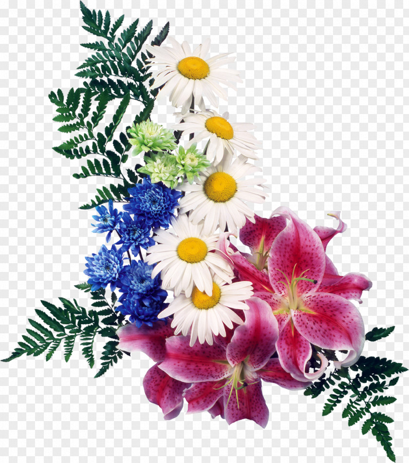 Chrysanthemum Flower Lilium Clip Art PNG