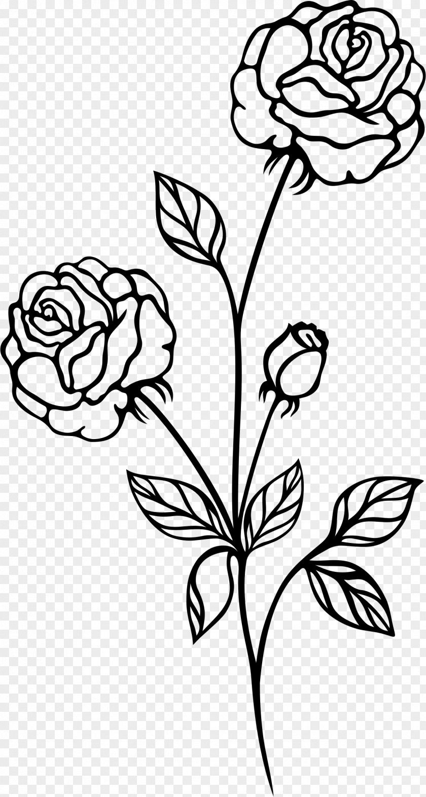 Radha Krishna Black Rose And White Clip Art PNG