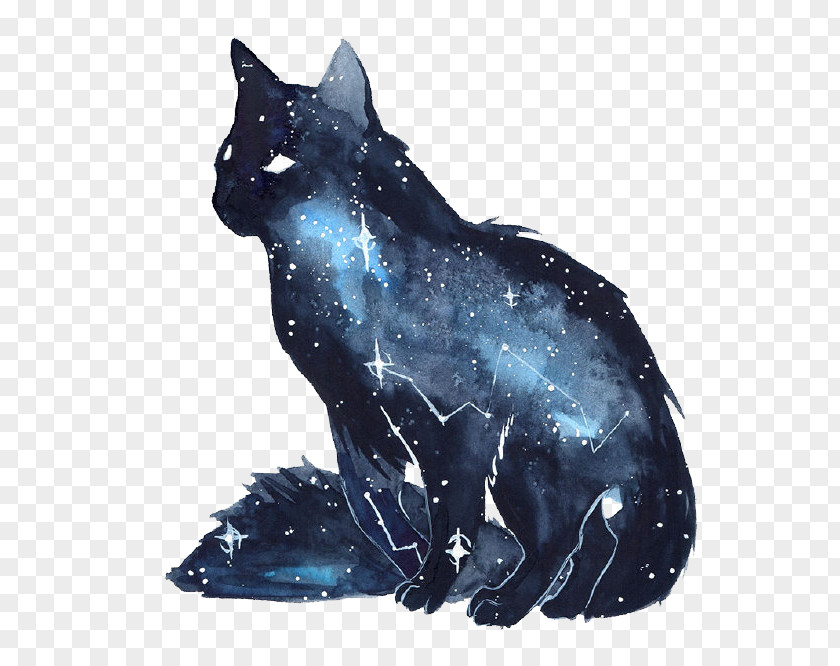 Star Fox And Creative Ideas Cat Kitten Galaxy Watercolor Painting Dog PNG