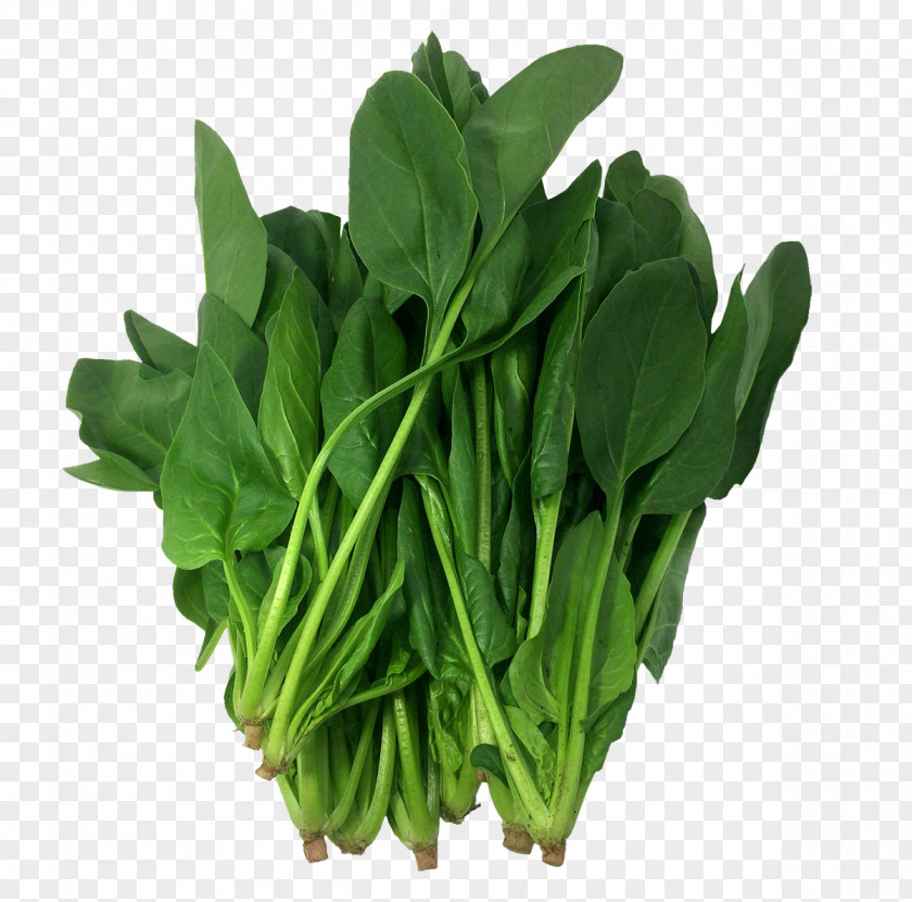 Vegetable Spinach Komatsuna Food Collard Greens PNG