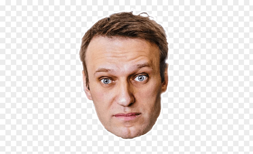 Alexei Navalny Politician Progress Party Leader Telegram PNG