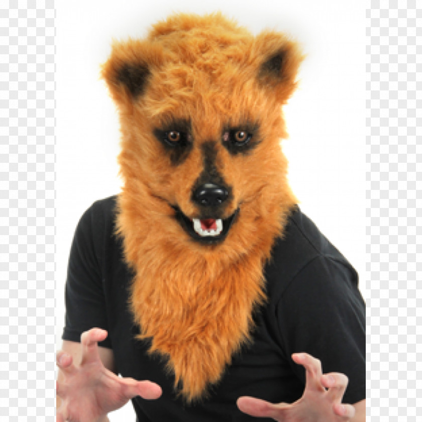 Bear Brown Mask Costume Mouth PNG