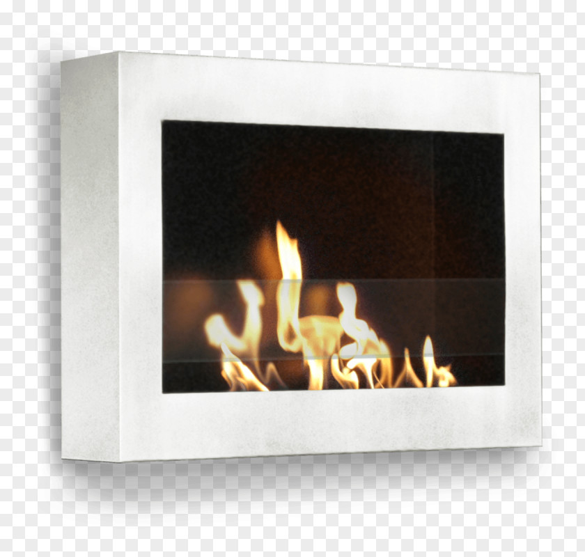 Fire Bio Fireplace Electric Ethanol Fuel Insert PNG