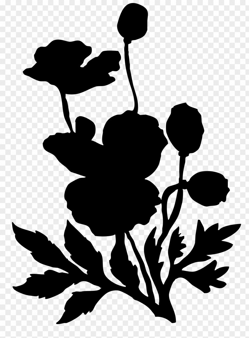 Poppy Stencil Flower Garden Dahlia Silhouette Floral Design PNG