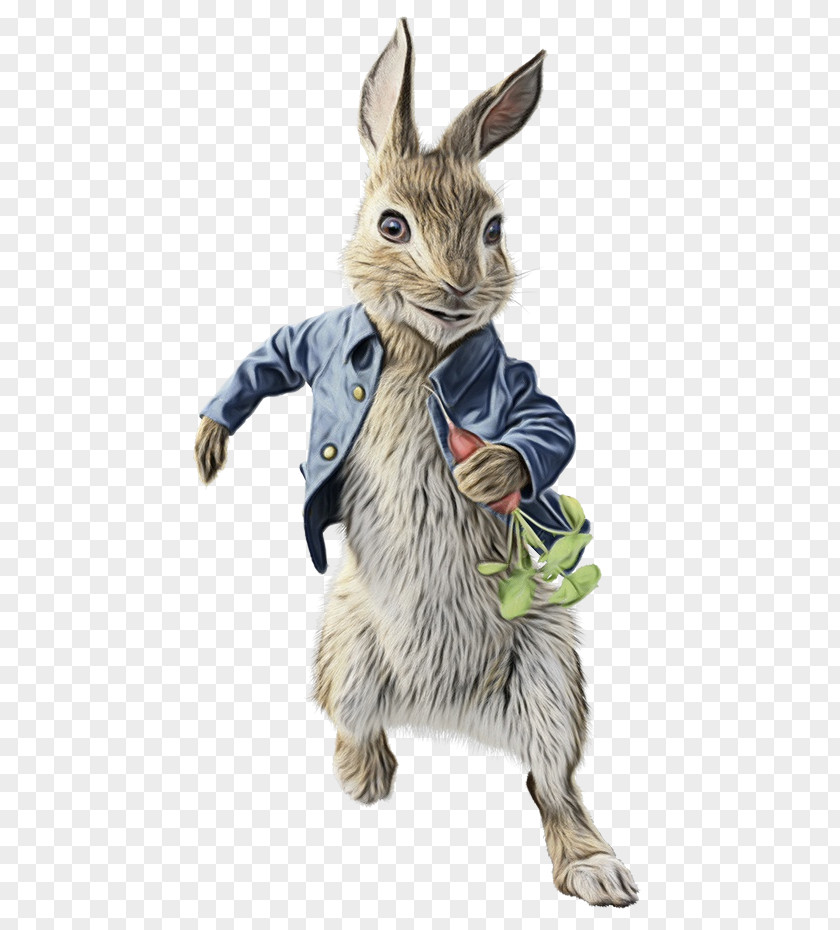 Wildlife Wood Rabbit Film Emoji PNG