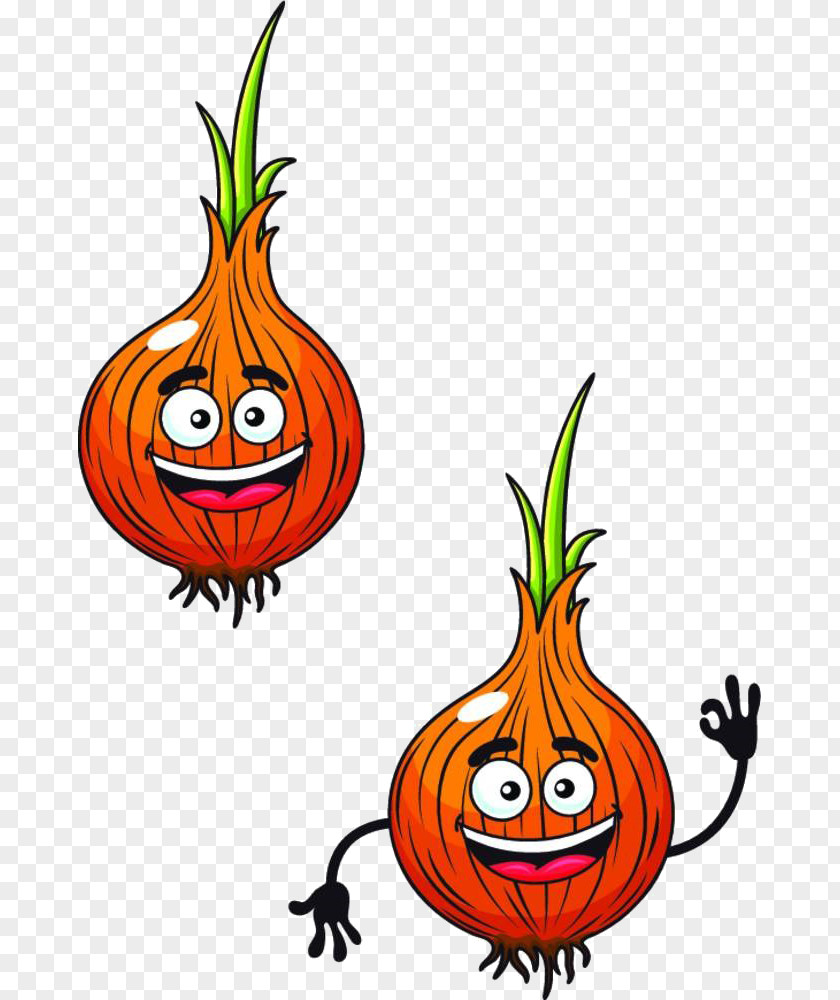 Cartoon Onion Material Yellow Royalty-free PNG