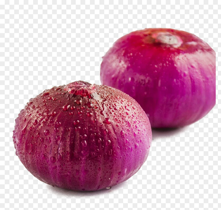 Creative Onion Allium Fistulosum Garlic Vegetable PNG