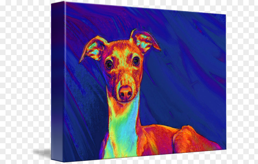 Italian Greyhound Whippet Spanish Sighthound PNG