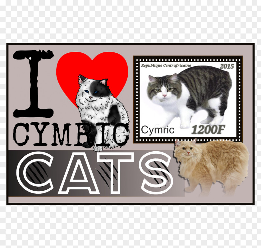 Kitten Whiskers Cymric Picture Frames Paw PNG