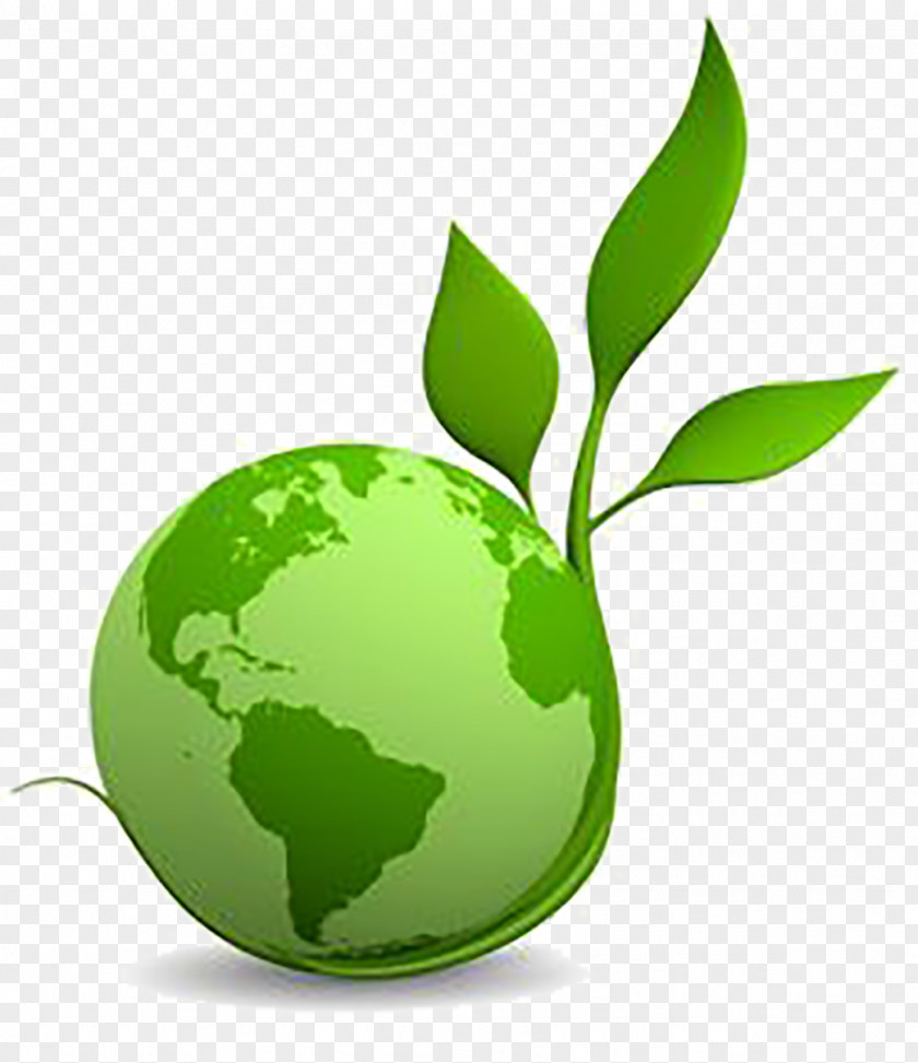 Natural Environment Sustainability Environmentally Friendly Green Building PNG