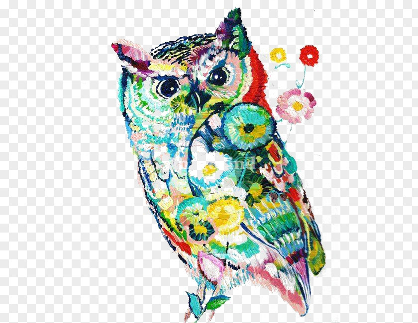 Owl Artist Painting Drawing Fine Art PNG