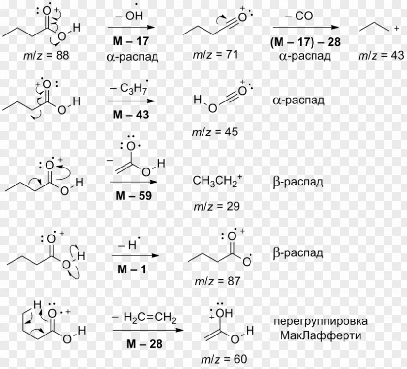 Salt Butyric Acid Carboxylic Adipic Organic Compound PNG