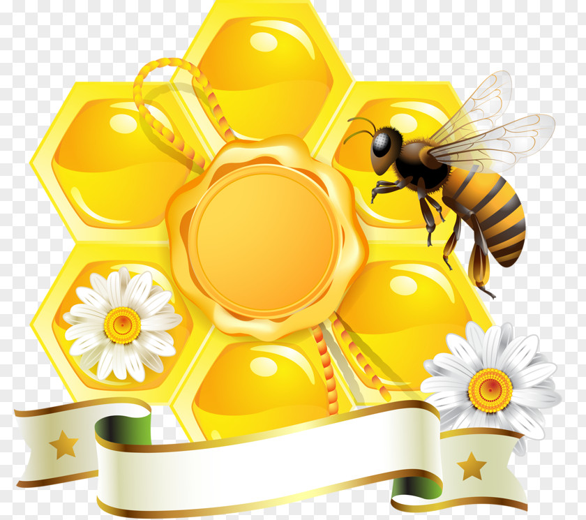 Yellow Honey Bee Honeycomb Beehive PNG