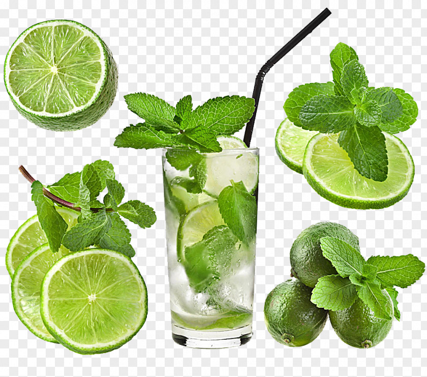 Mint Leaf Cocktail Iced Tea Water Rock Candy PNG