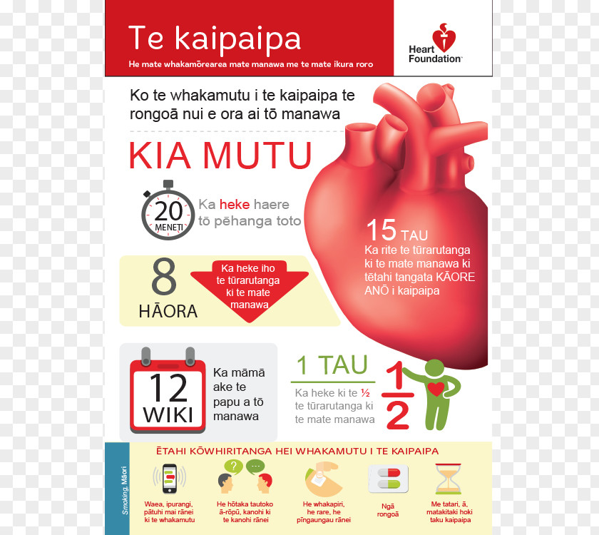 Quit Smoking Stopping Cessation Facts For Life: All You Need To Know Help PNG