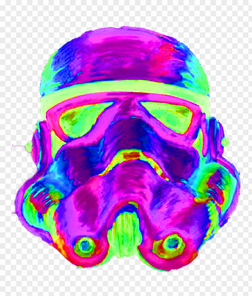 Skull Organism PNG