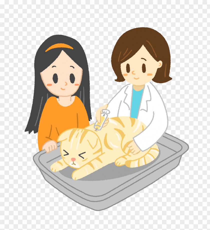To The Cat Doctor Dog Hello Kitty Kitten Illustration PNG