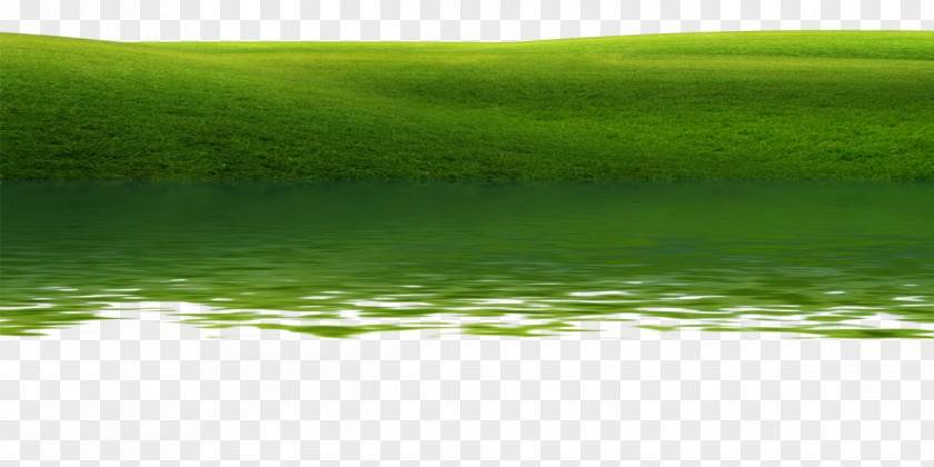 Waterside Meadows Water Resources Lawn Meadow Green Wallpaper PNG