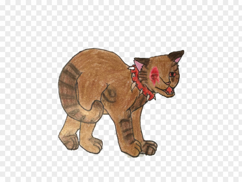 Cat Fauna Terrestrial Animal Tail Snout PNG