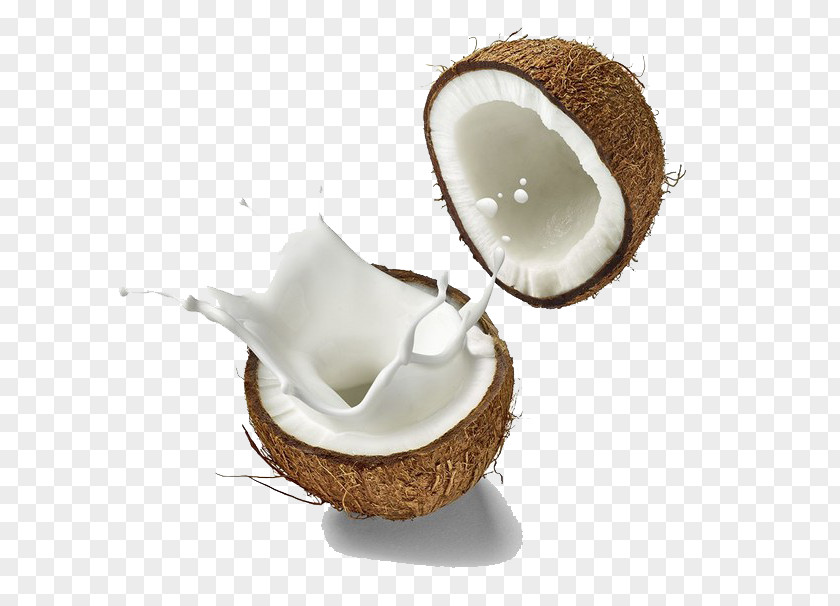 Coconut Milk Splash Soy Substitute PNG